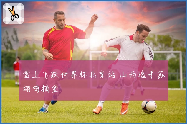 雪上飞跃世界杯北京站 山西选手苏翊鸣摘金