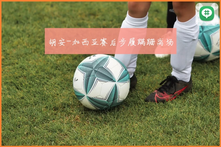 胡安-加西亚赛后步履蹒跚离场